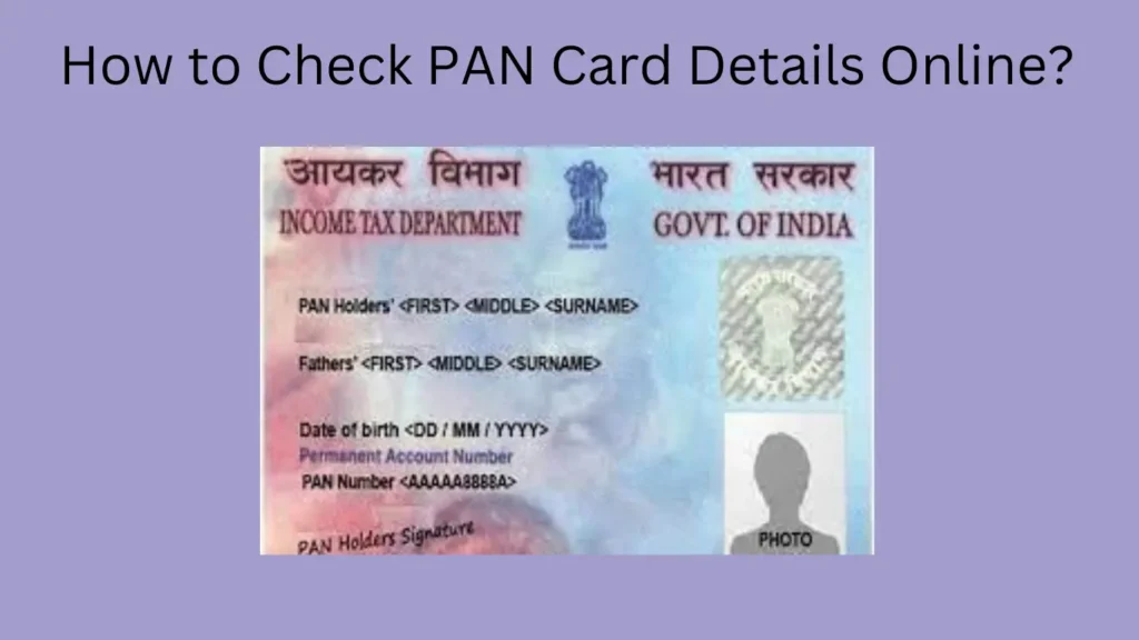 How to Check PAN Card Details Online?