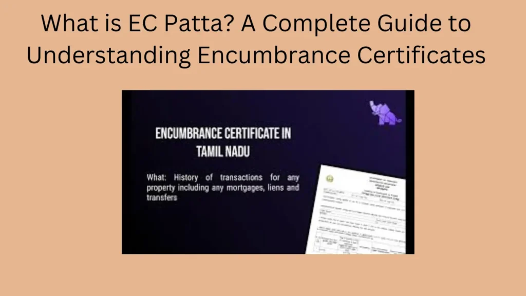 What is EC Patta? A Complete Guide to Understanding Encumbrance Certificates